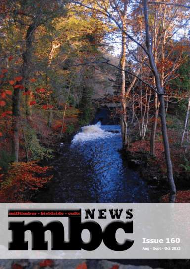 MBC News 160