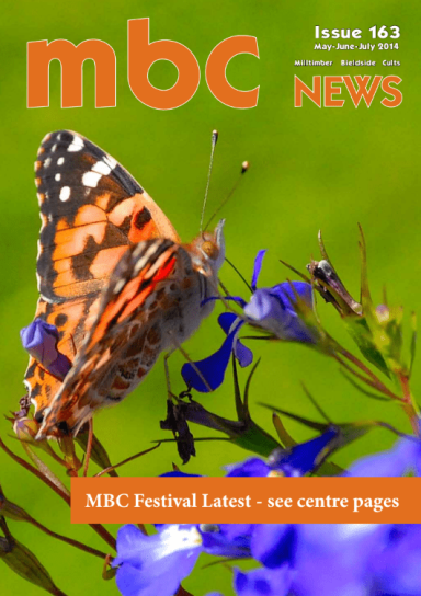 MBC News 163